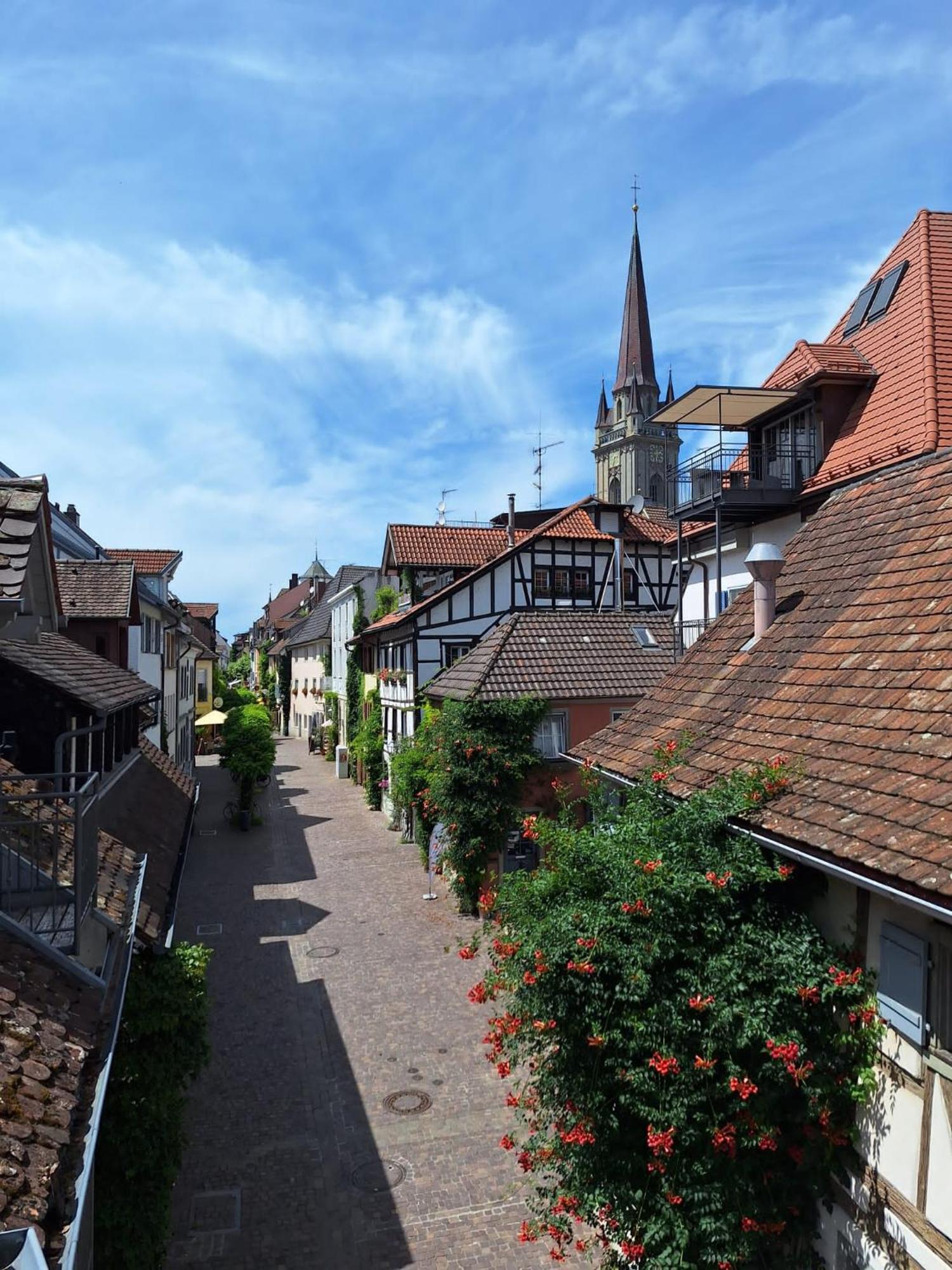 Ferienwohnung Ueberblick ราดอล์ฟเซลล์ อัม โบเดนซี ภายนอก รูปภาพ